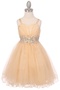 Tulle Dress