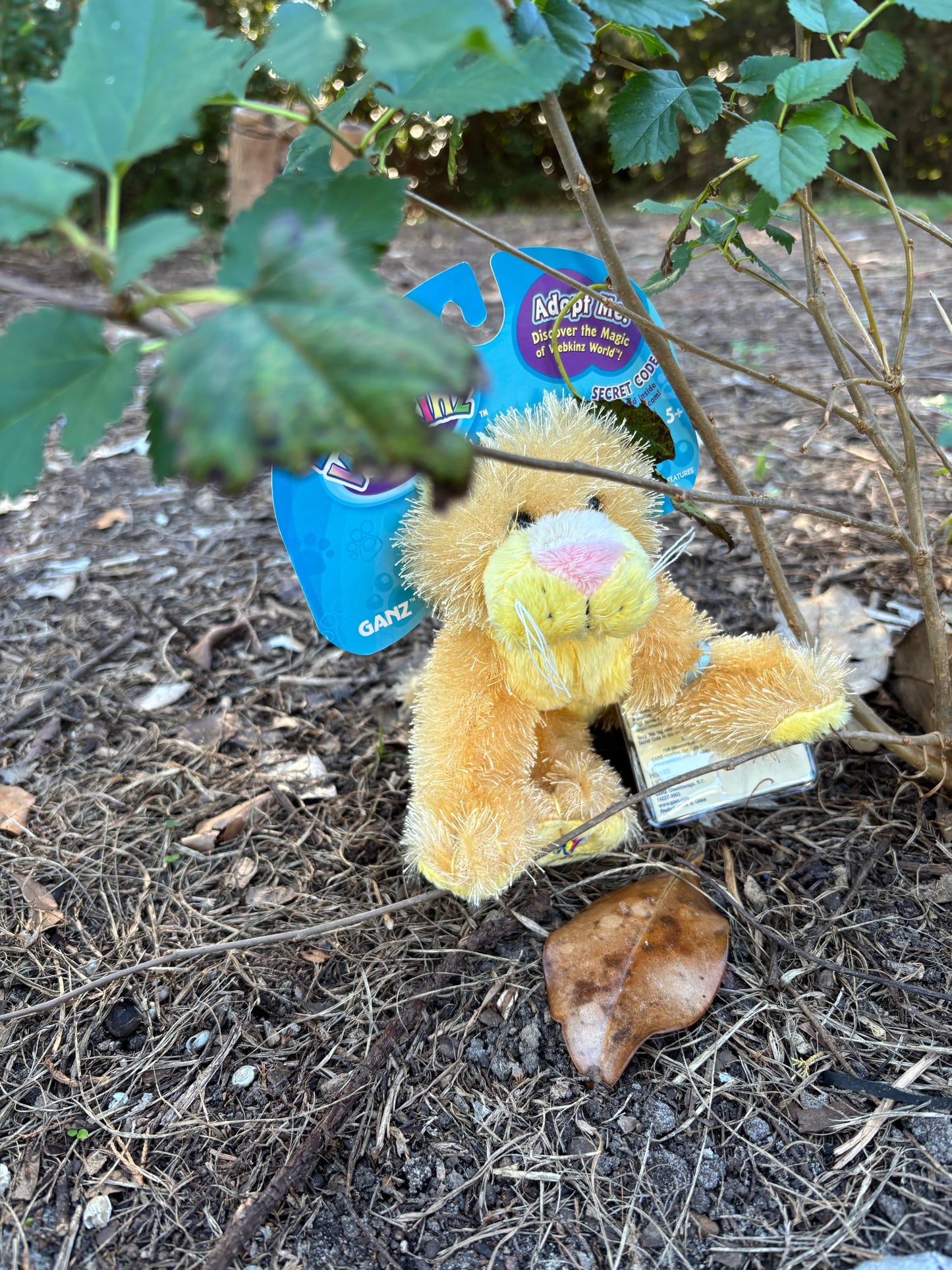 Original Webkinz