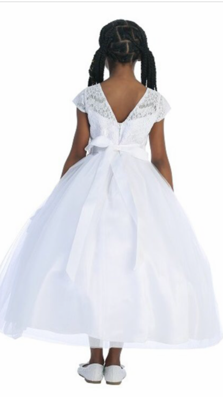 Short Sleeve Lace and Tulle Dress