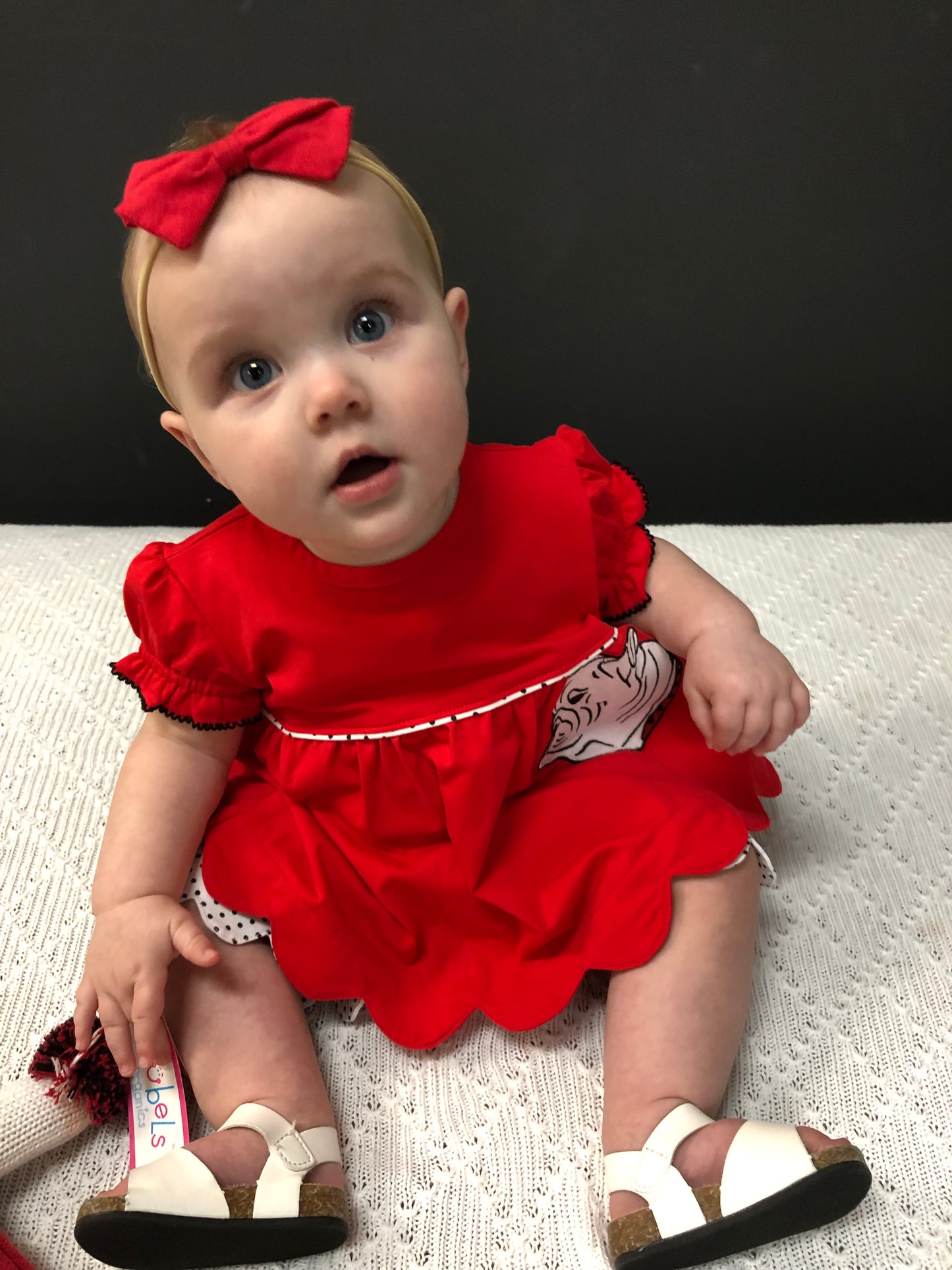 Red/Black Bulldog Applique Short Set