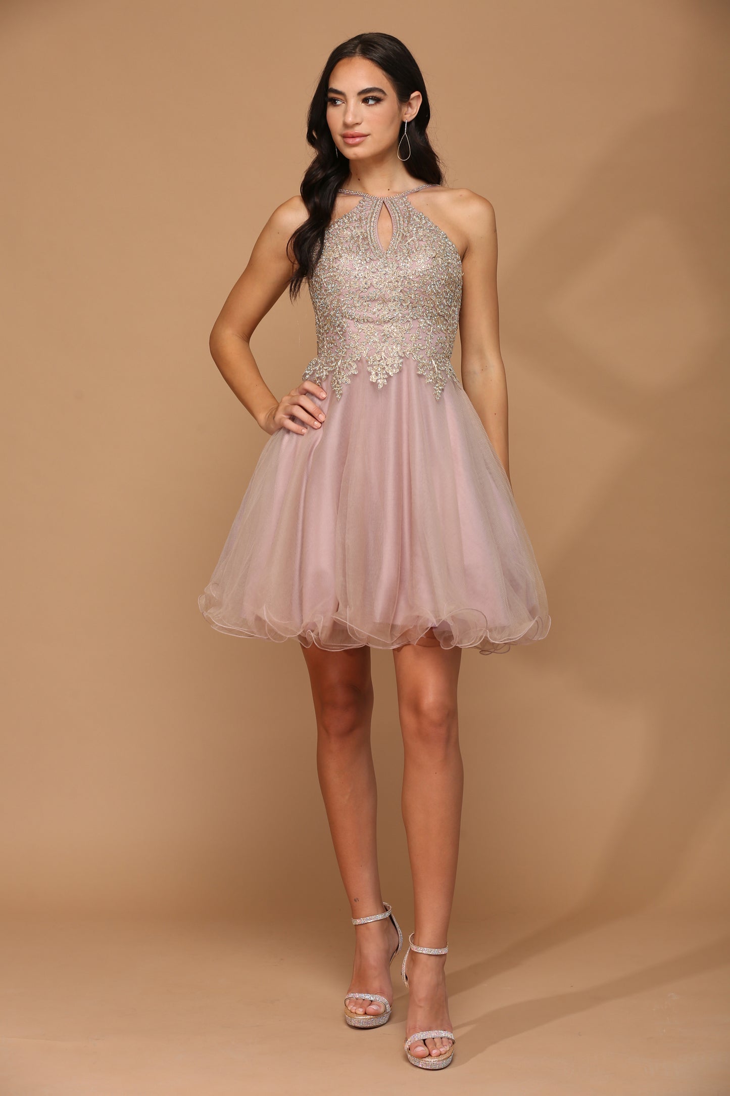 Short Tulle Dress With Halter Style Neckline and Embellished Bodice