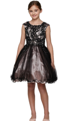 Two Tone Lace and Tulle Dress