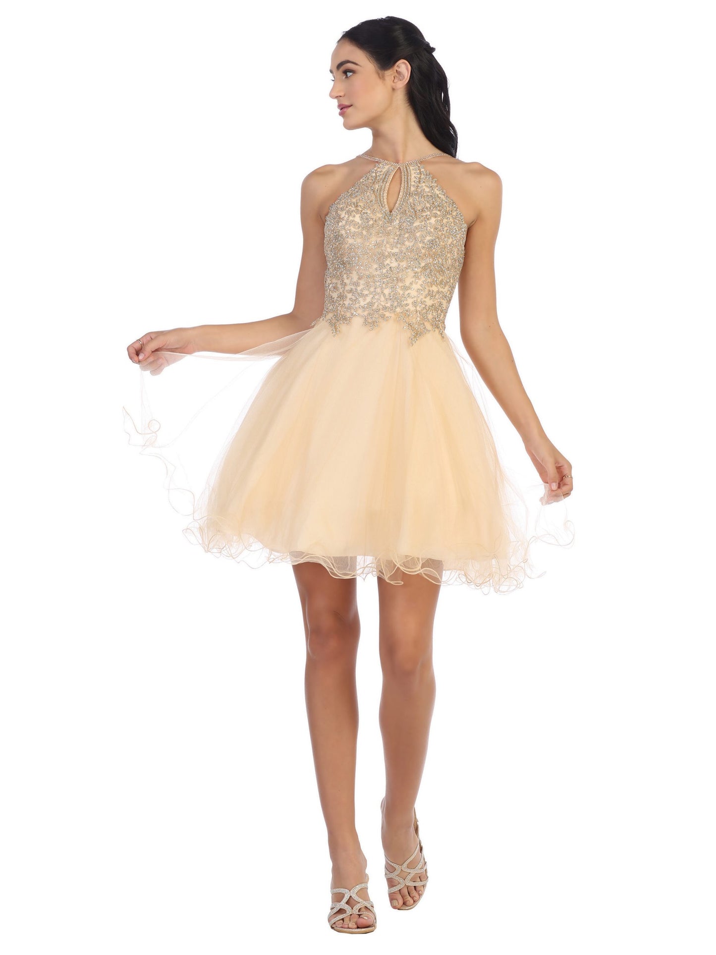 Short Tulle Dress With Halter Style Neckline and Embellished Bodice