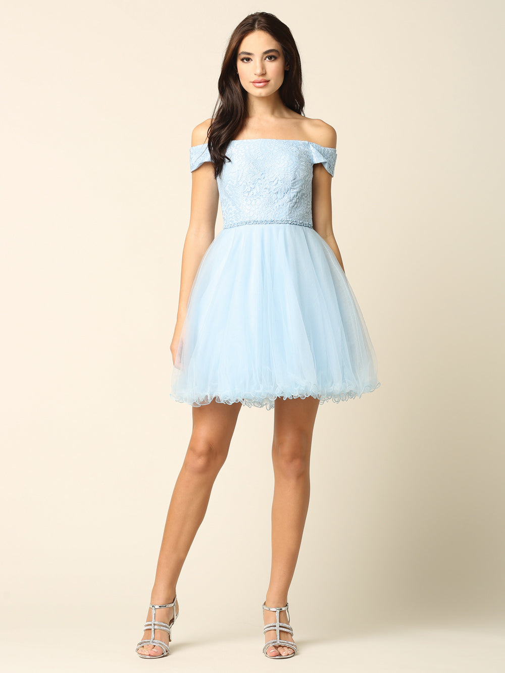 Mini Shoulder Lace and Tulle Dress