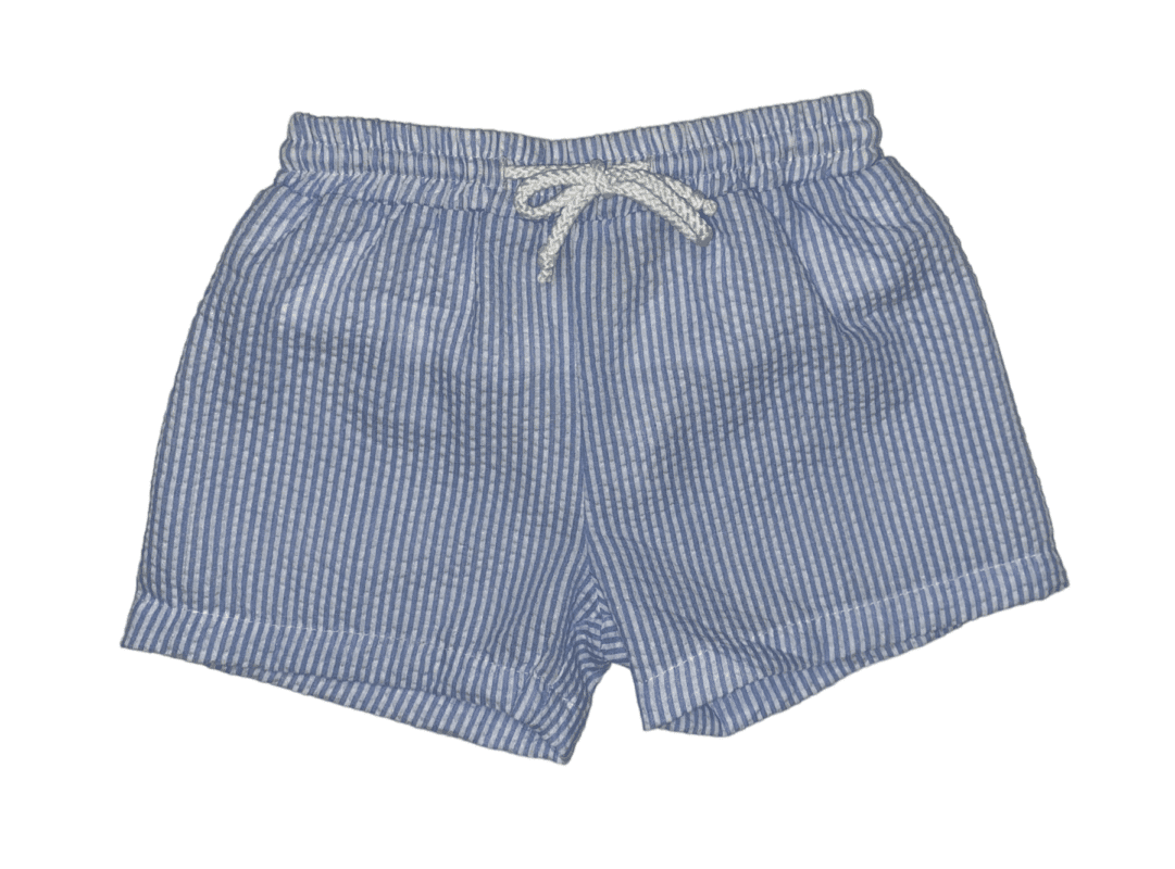 Blue Stripe Swim Trunk