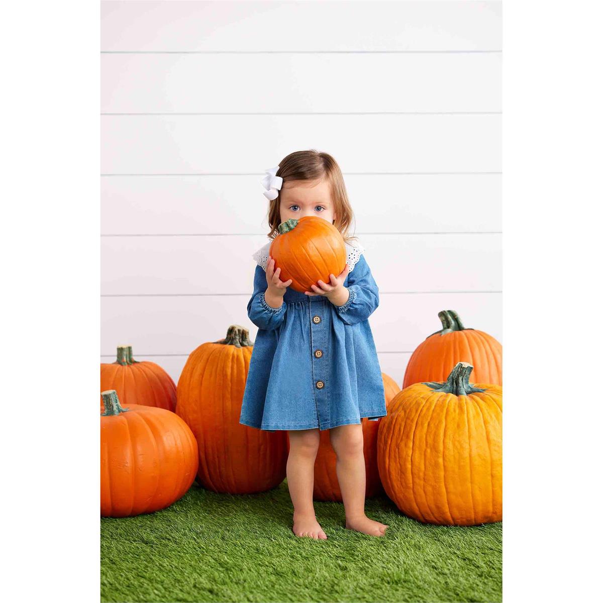 Eyelet Collar  Denim Dress