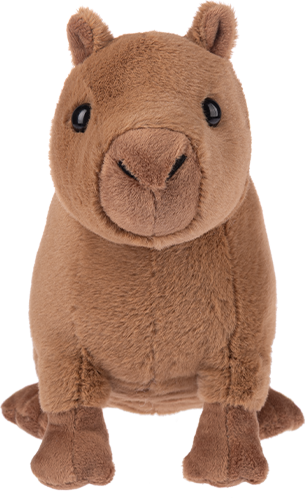 Webkinz