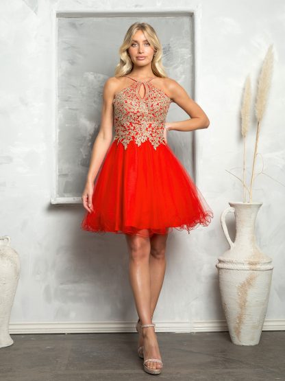 Short Tulle Dress With Halter Style Neckline and Embellished Bodice