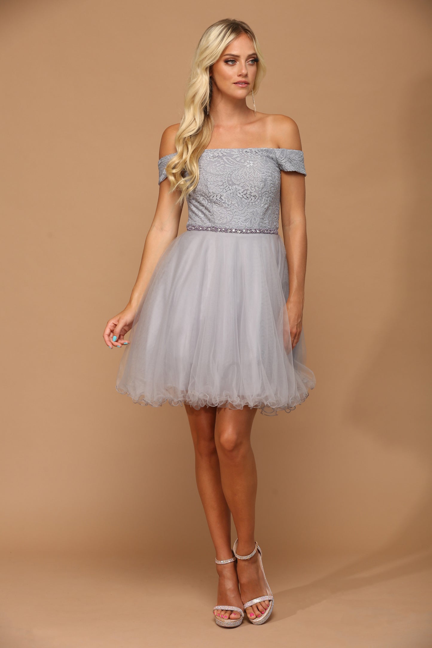 Mini Shoulder Lace and Tulle Dress