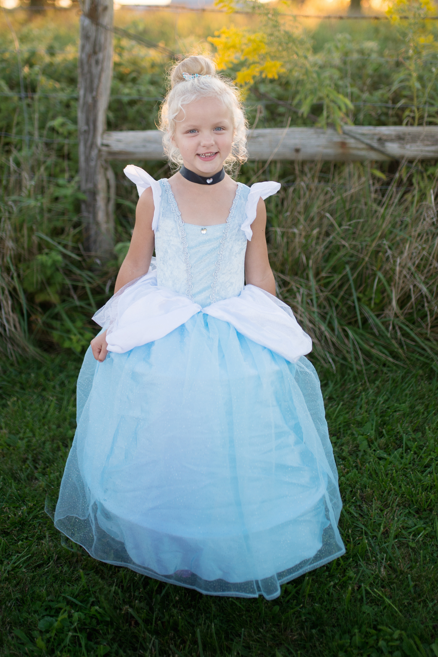 Blue Cinderella Gown