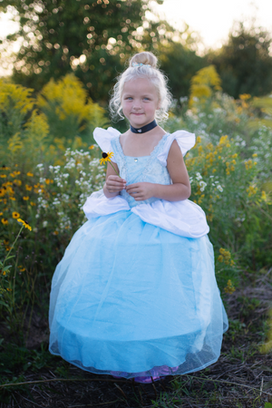 Blue Cinderella Gown