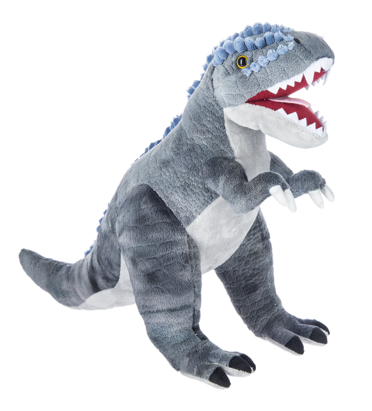 Tyrannosaurus Dinosaurs
