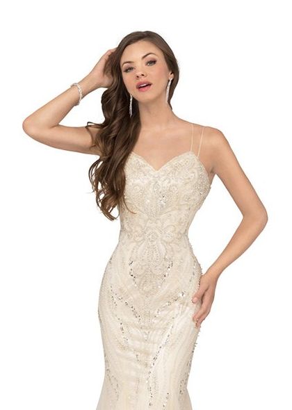 Champagne Tulle Prom Dress