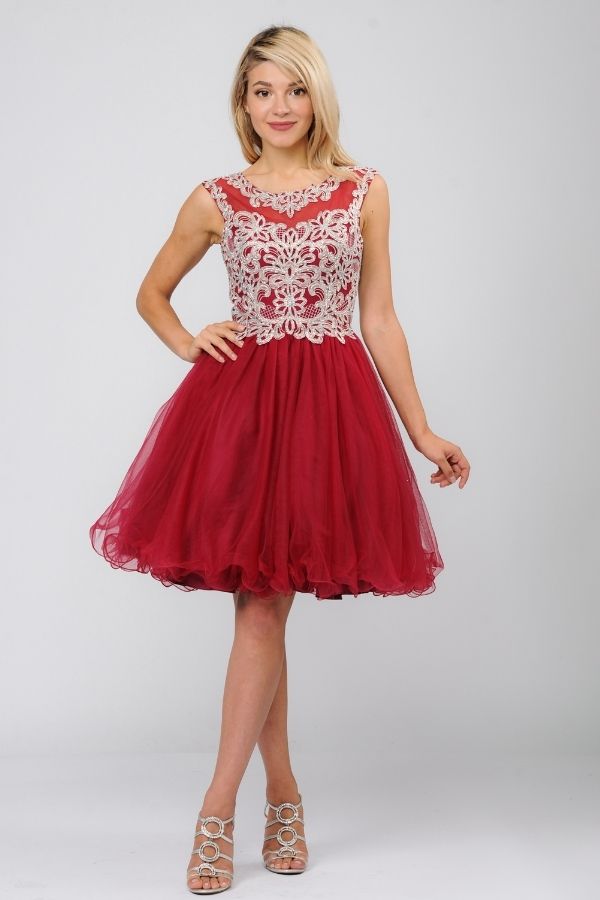 Burgundy Tulle Bottom Dress