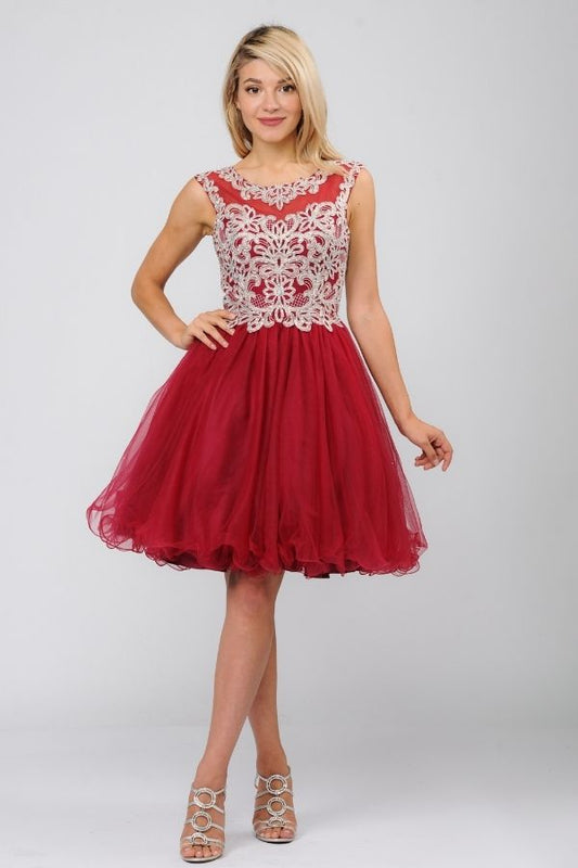 Burgundy Tulle Bottom Dress