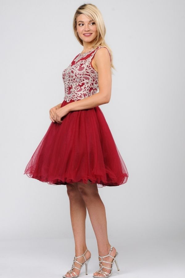 Burgundy Tulle Bottom Dress