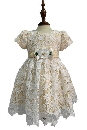 Champagne Lace Dress
