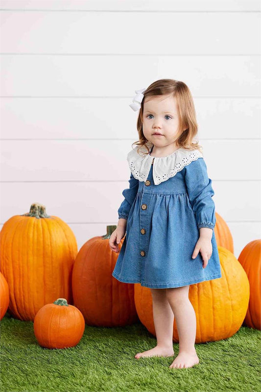 Eyelet Collar  Denim Dress