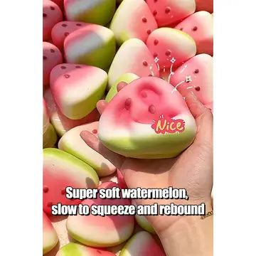 Watermelon Slow Rise Squishy Toy