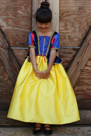 Snow White Gown