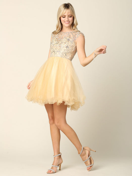 Champagne Tulle Short Gown